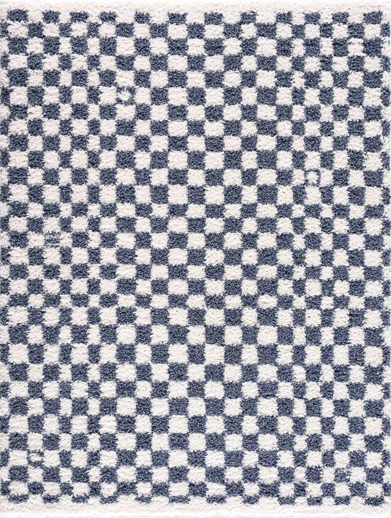 Kieu Blue & White Checkered Area Rug