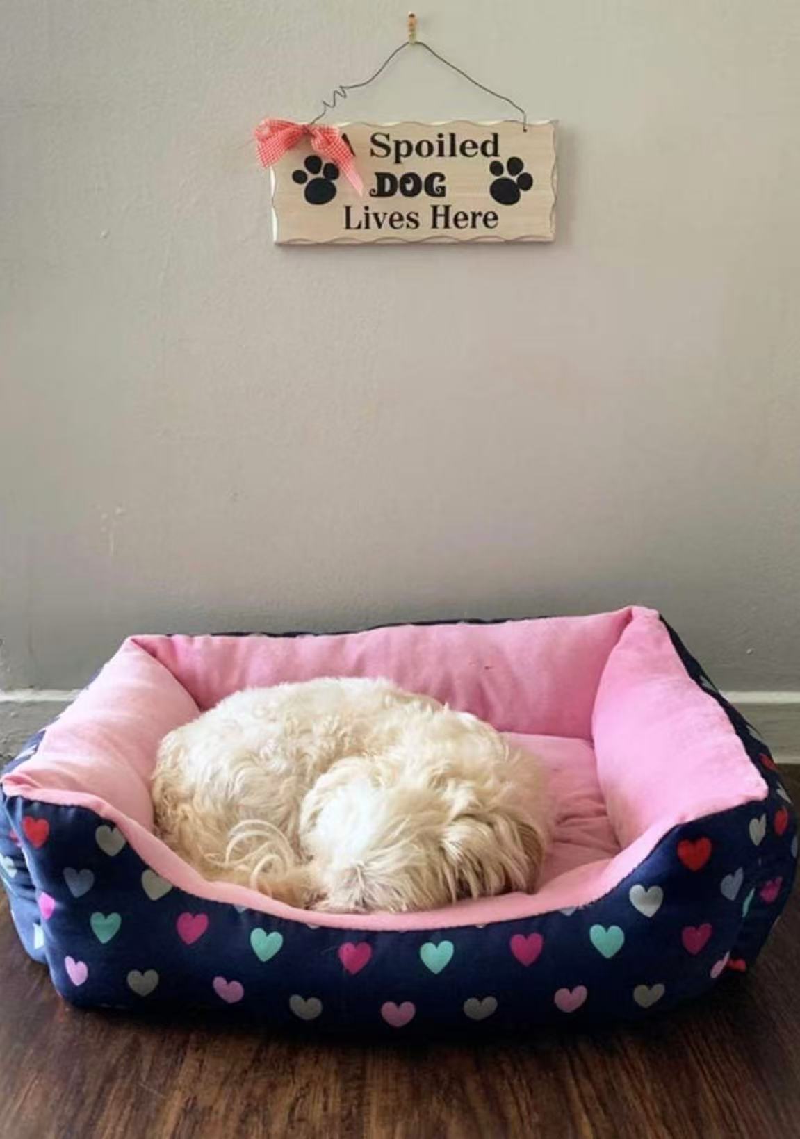 Funny Dog Sign - 'A Spoiled Dog Lives Here' Decorative Wooden Wall Art, 4x10in, Perfect Dog Lover Gift