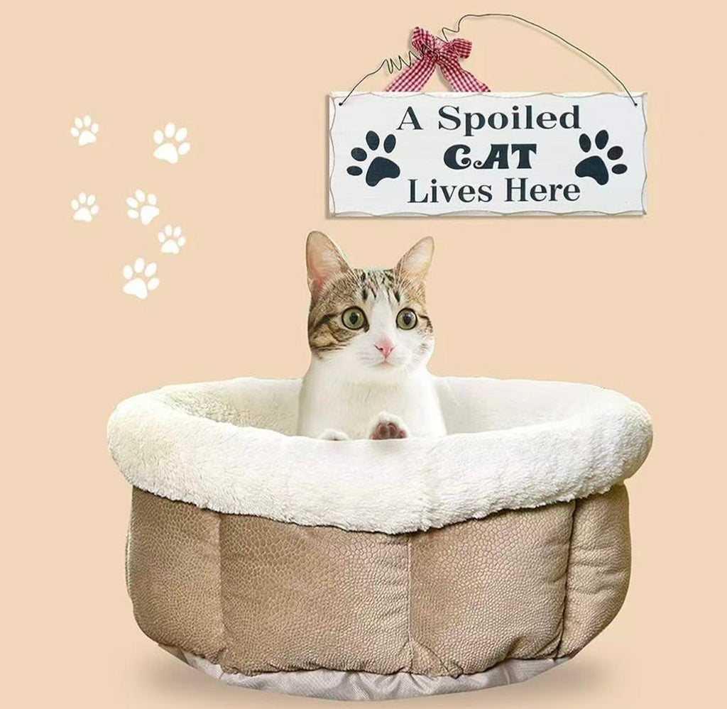 Wooden Cat Lover Sign - Hanging Decorative Plaque 'A Spoiled Cat Lives Here' - 4x10in