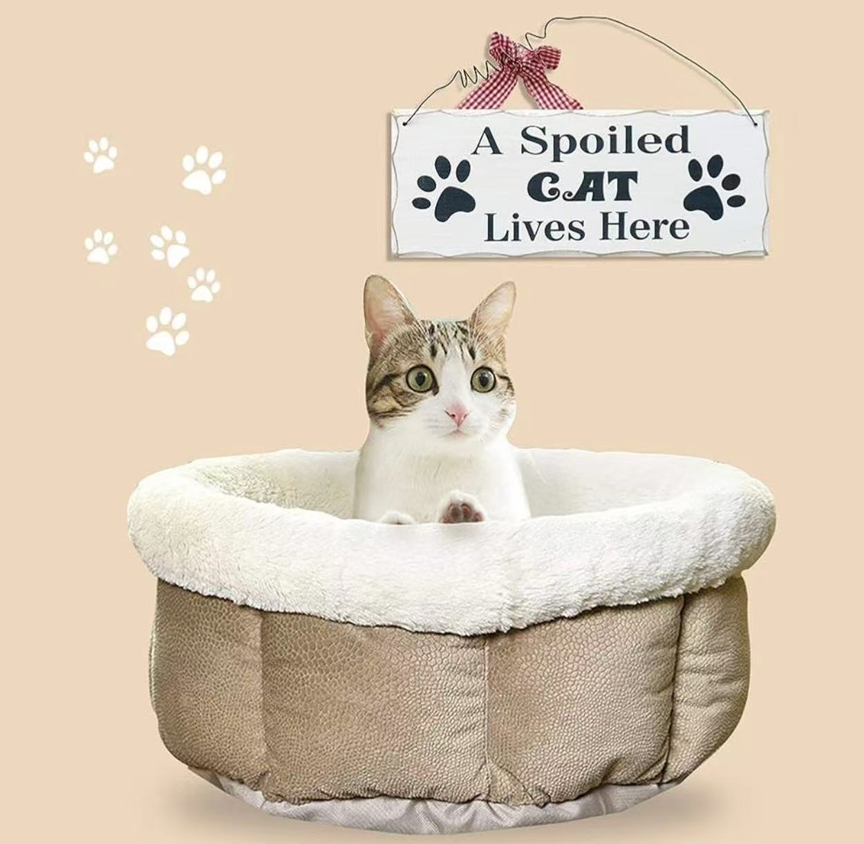 Wooden Cat Lover Sign - Hanging Decorative Plaque 'A Spoiled Cat Lives Here' - 4x10in